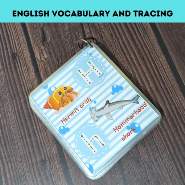 English Vocabulary Flashcards