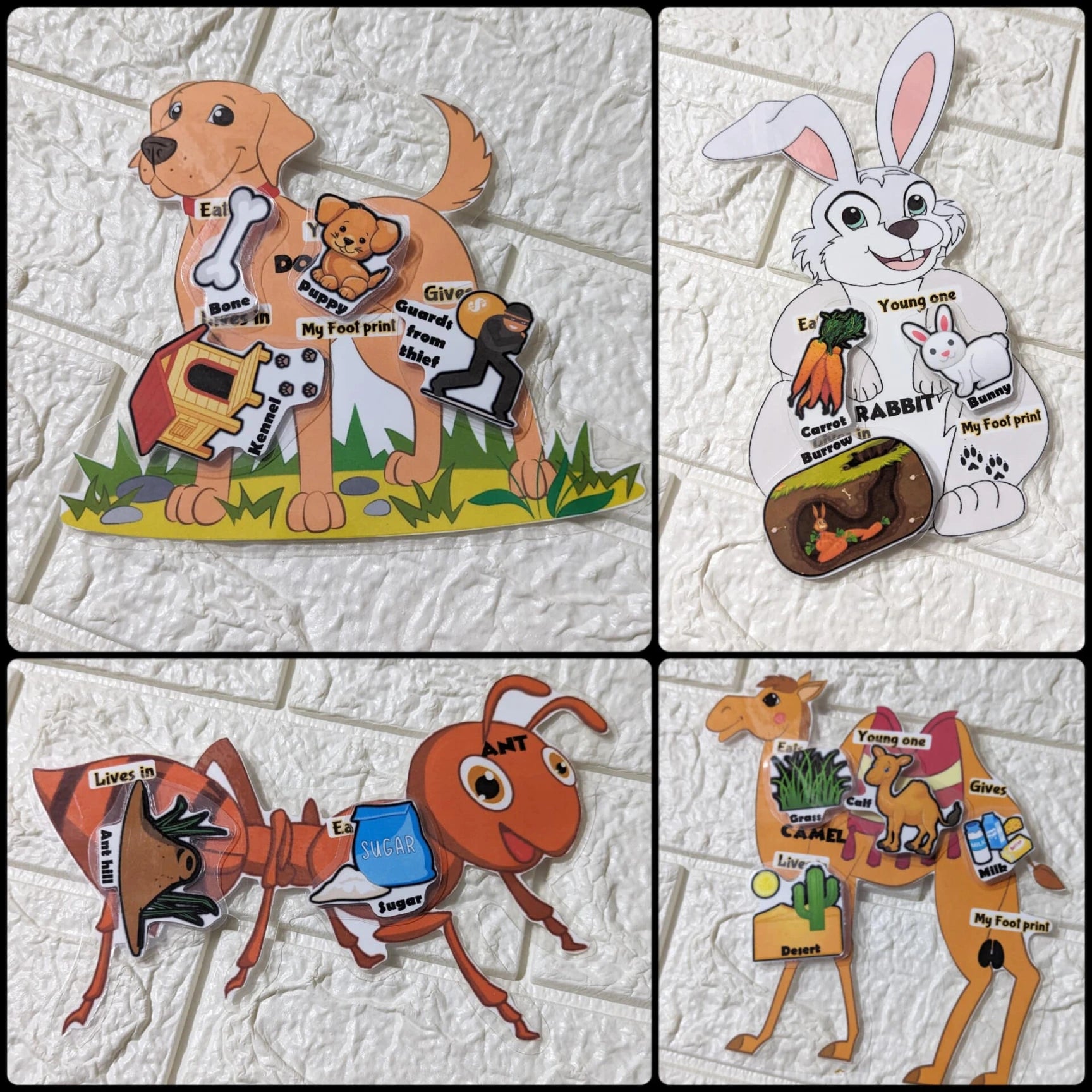 Farm Animals and Their Young Ones