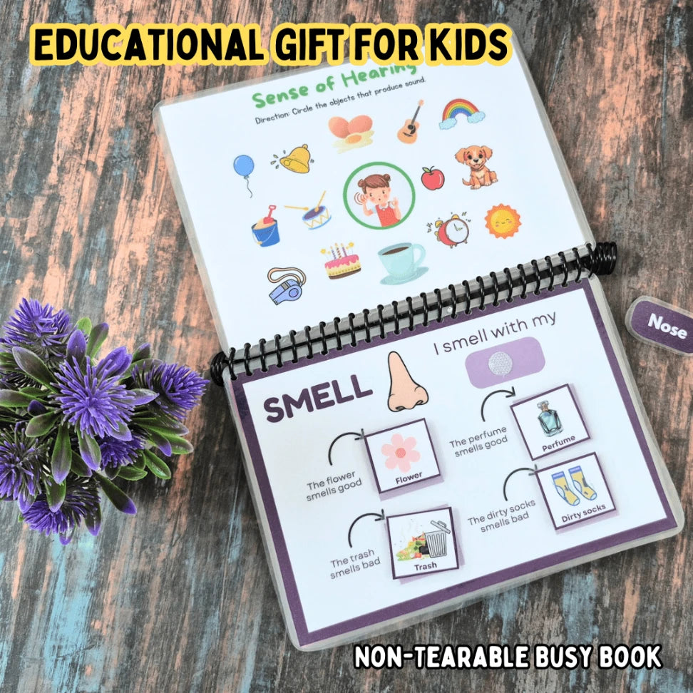 Five senses busy book