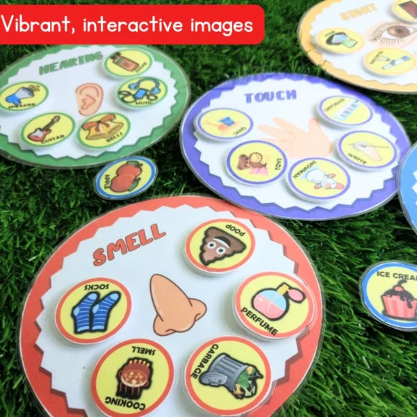 Five senses matching game for preschool