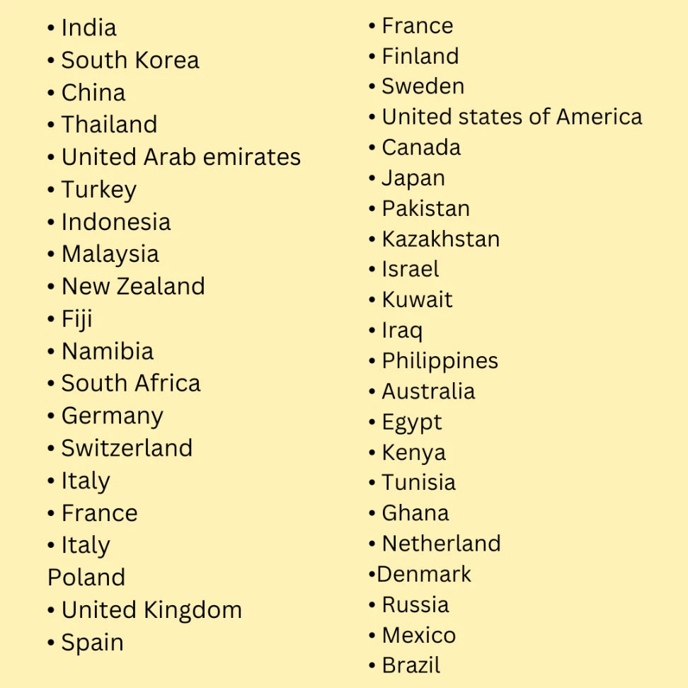 laminated flags and currency Velcro book for toddlers