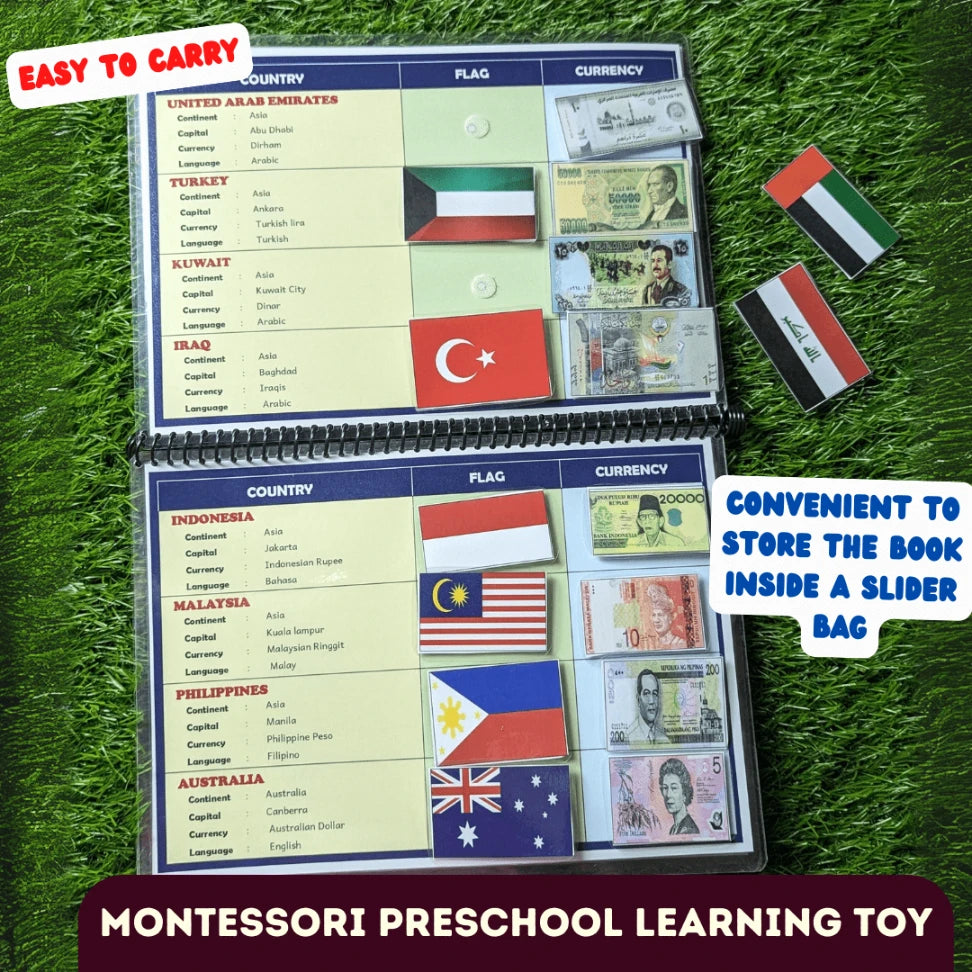 Flags and currencies busy book