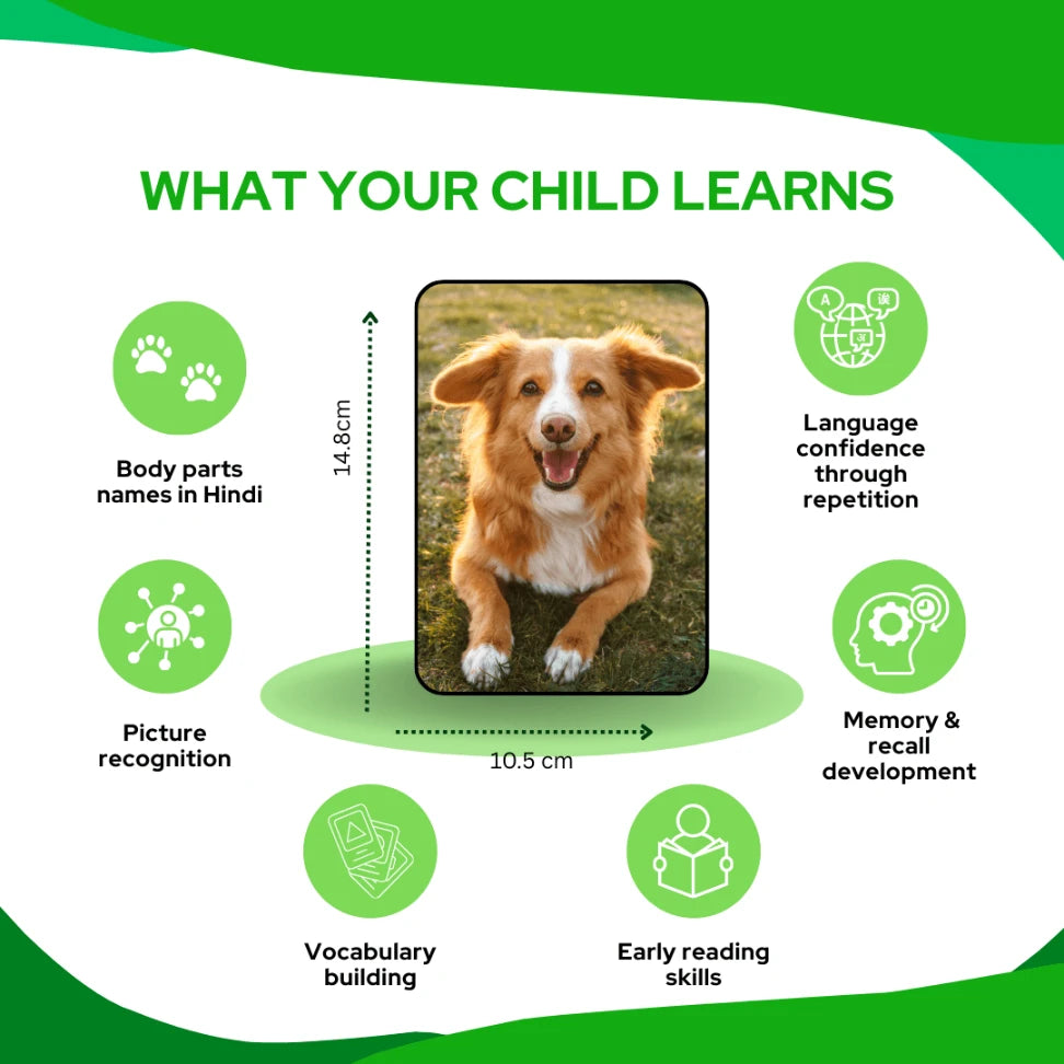 hindi animal flashcards for toddlers