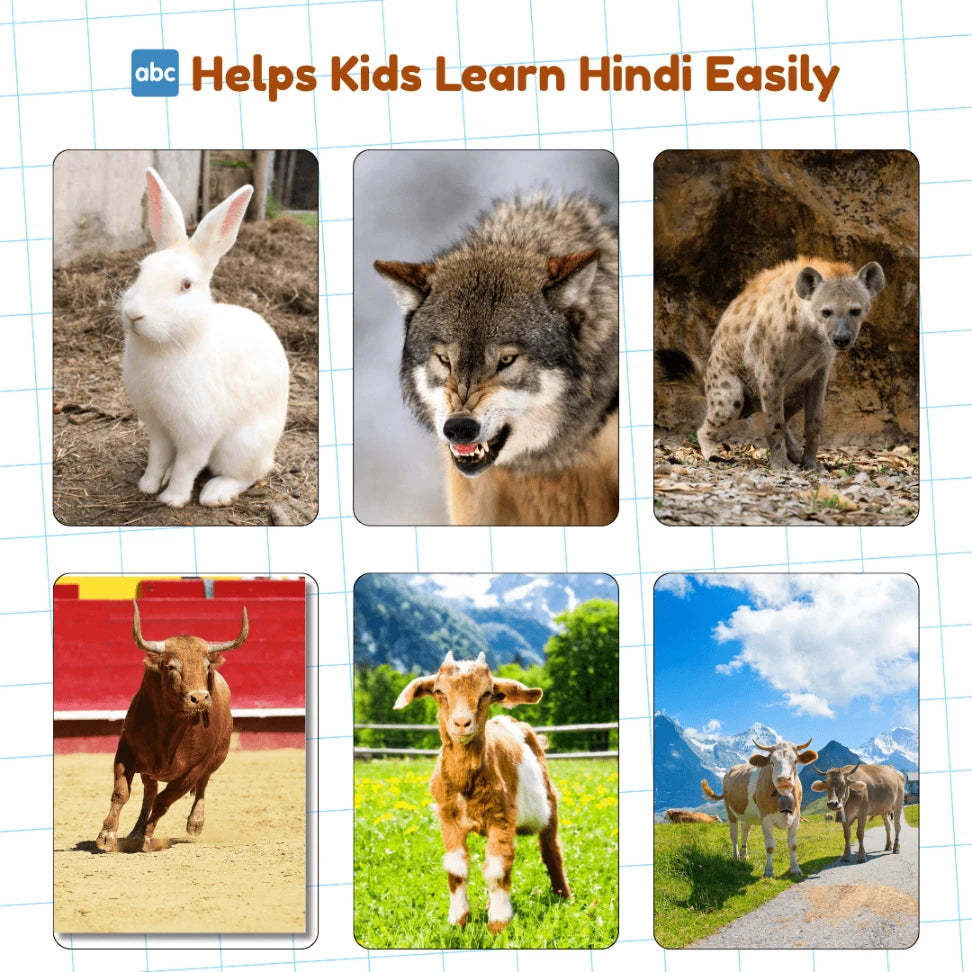 hindi learning flash cards animals