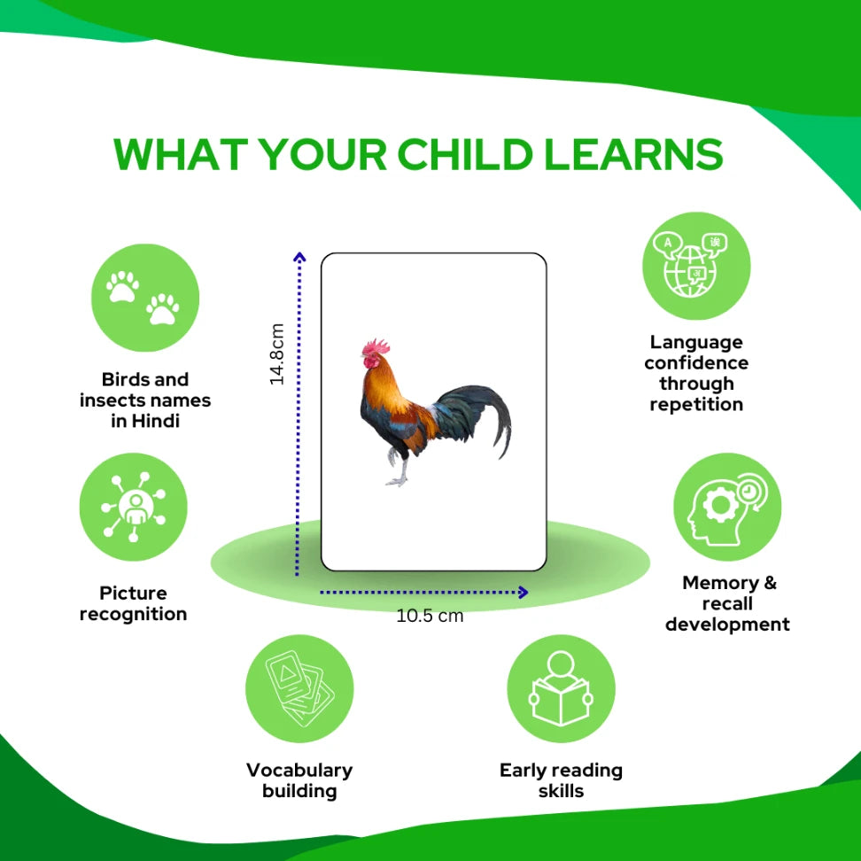 Birds and Insects Flash Card - Hindi