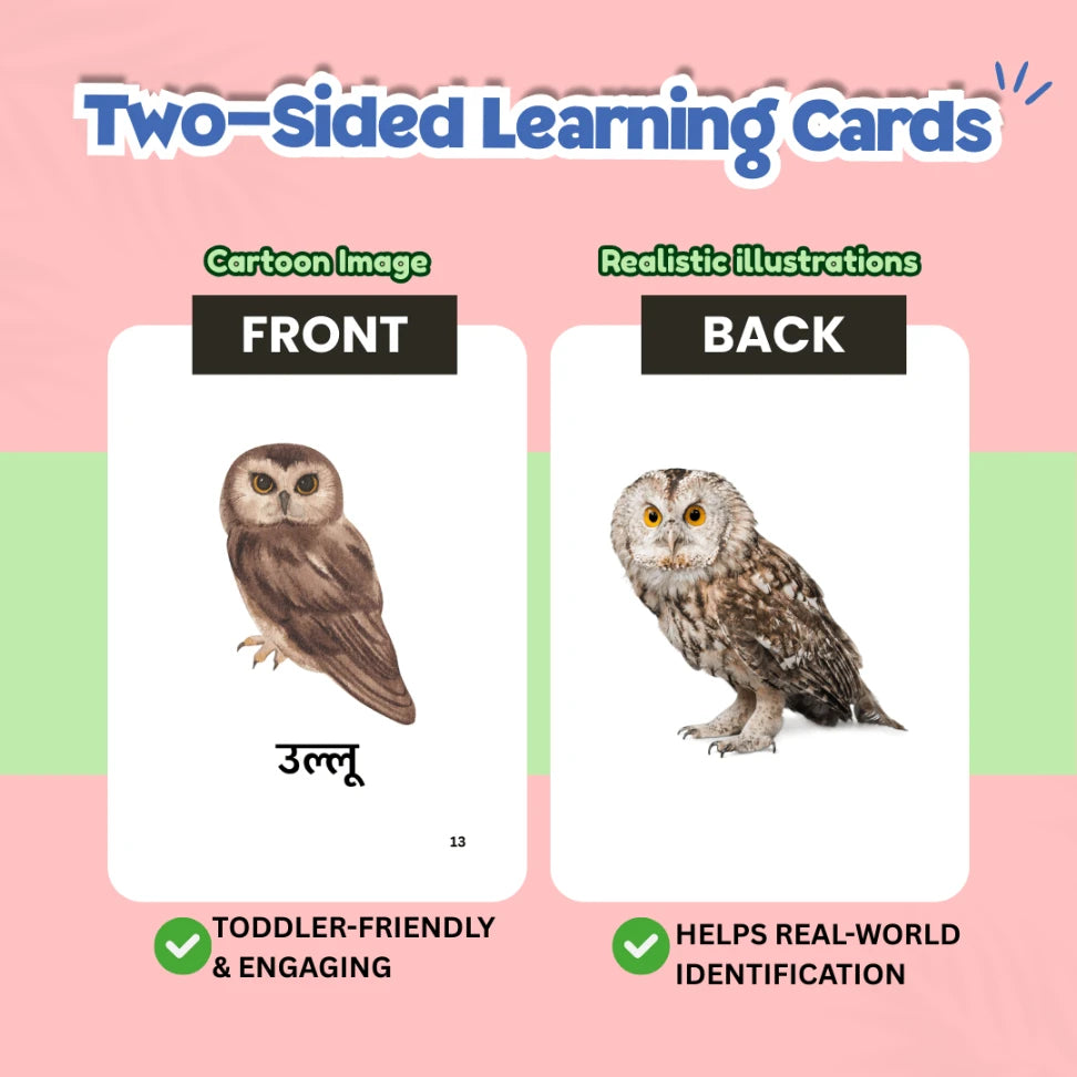 Birds and Insects Flash Card - Hindi