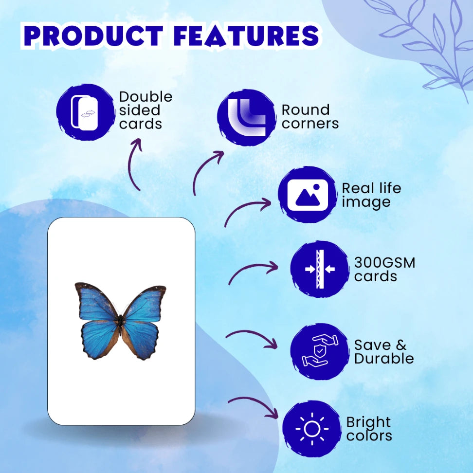 Birds and Insects Flash Card - Hindi