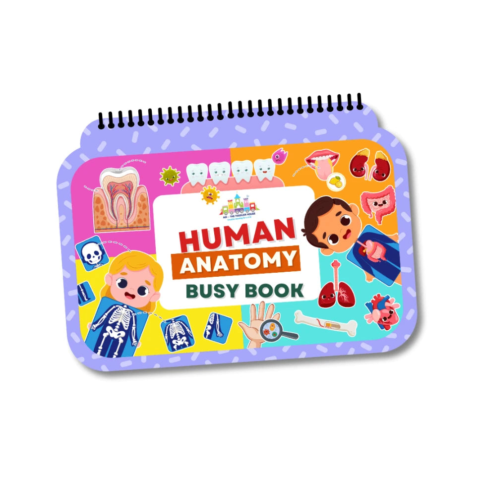 Human Anatomy Busy Book for Kids