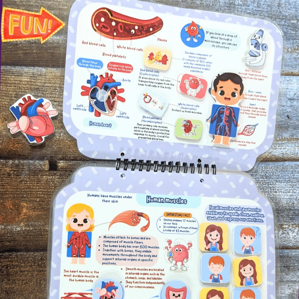 Children’s Human Body Book with Stickers