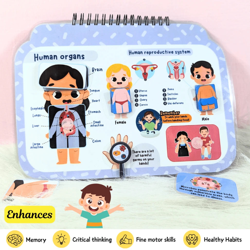 Human Anatomy busy book