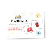 Right Brain Flash cards - Human Internal Organs