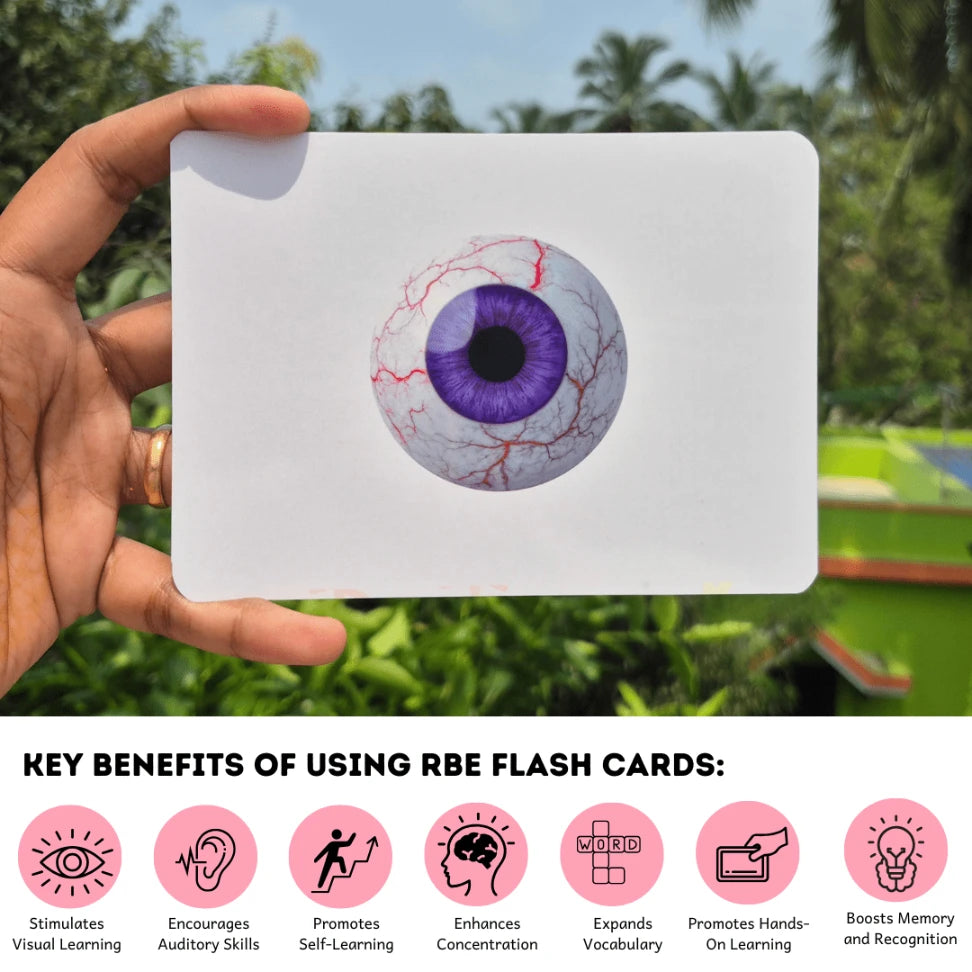 Right Brain Flash cards - Human Internal Organs