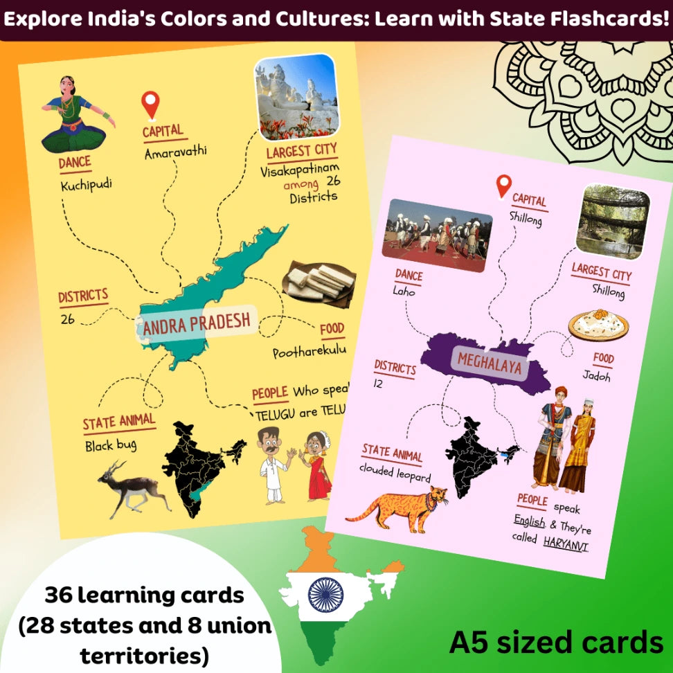 State and Capital Flashcards with Traditional Food and Culture