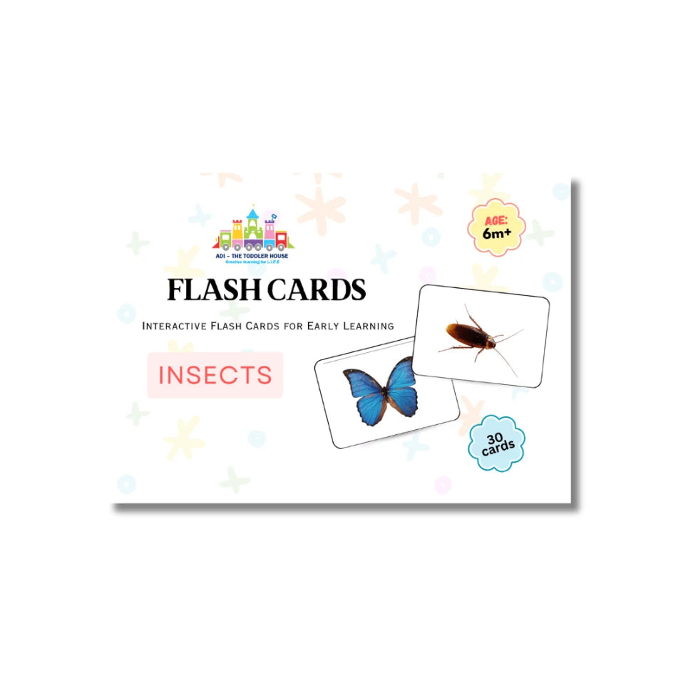 insect flashcards for toddlers