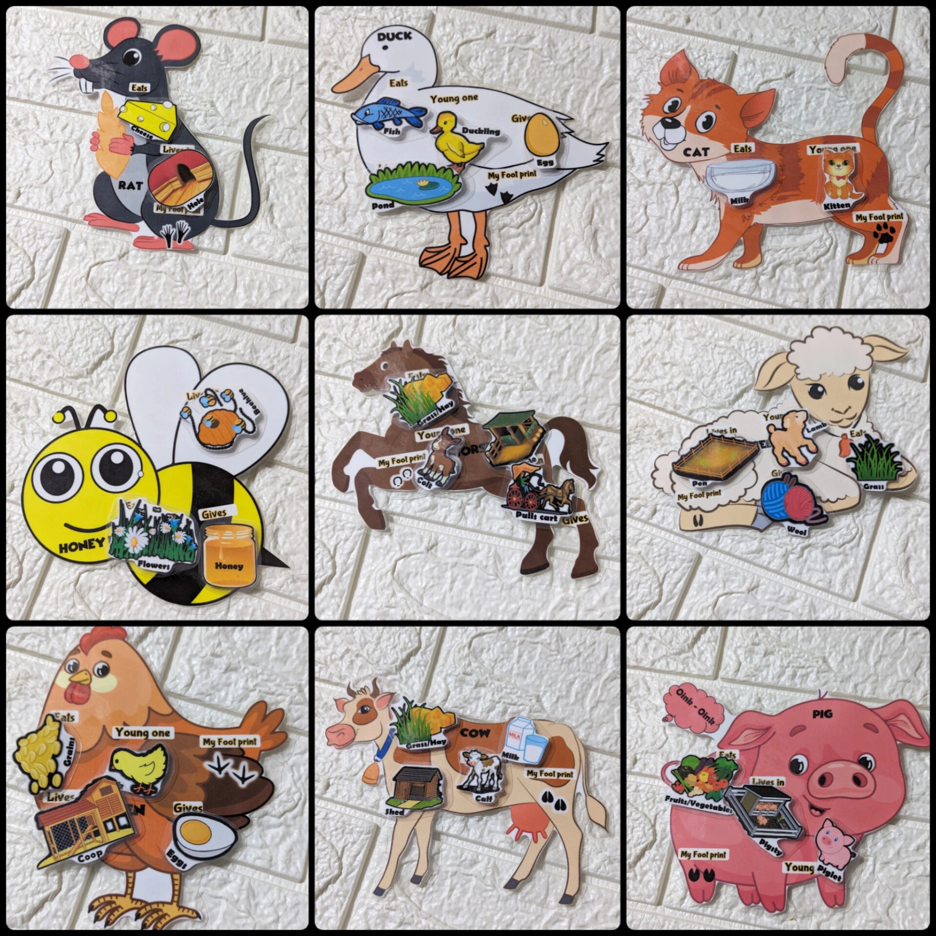 Know Your Farm Animals Wall Decals for Early Childhood Education