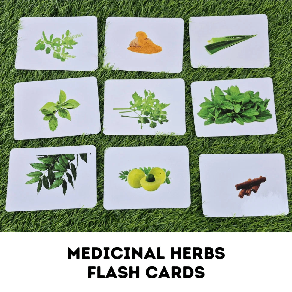 Medicinal herbs - Right Brain Education Flash Cards