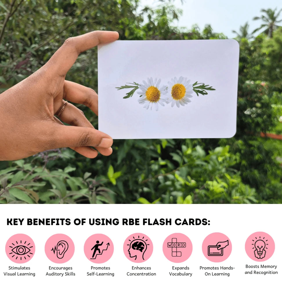 Medicinal herbs - Right Brain Education Flash Cards