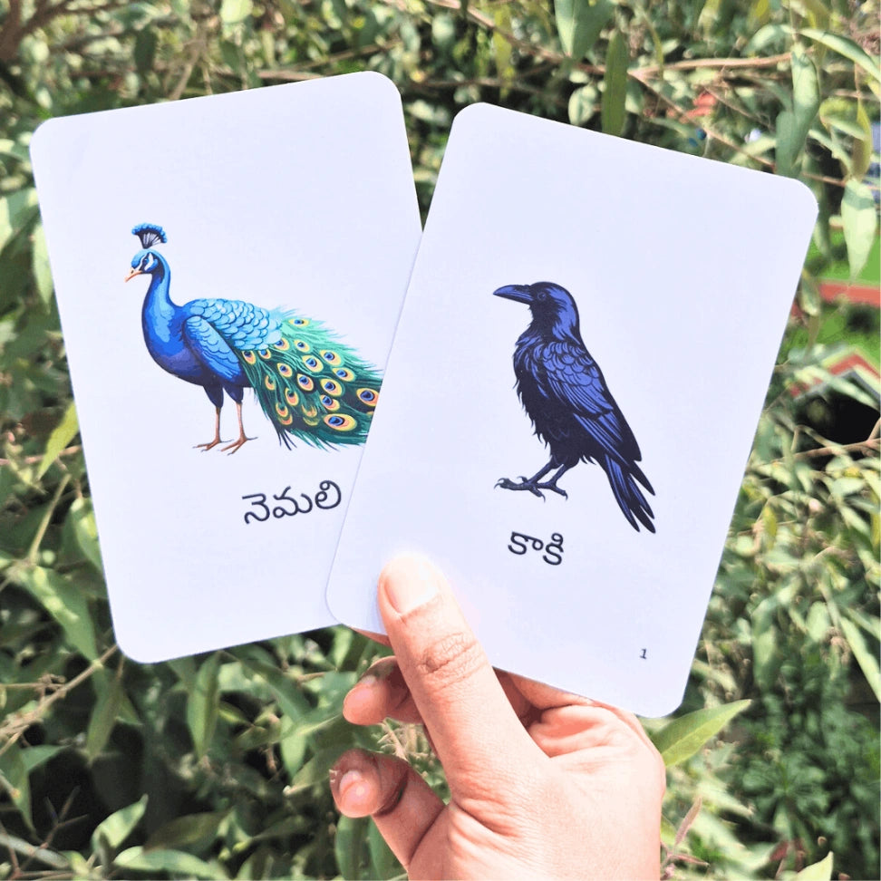 Montessori bird insect cards Telugu