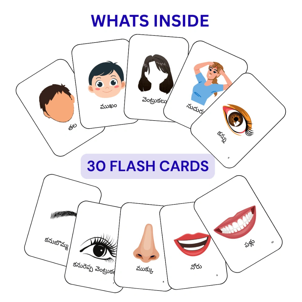 Montessori human body parts learning cards in Telugu
