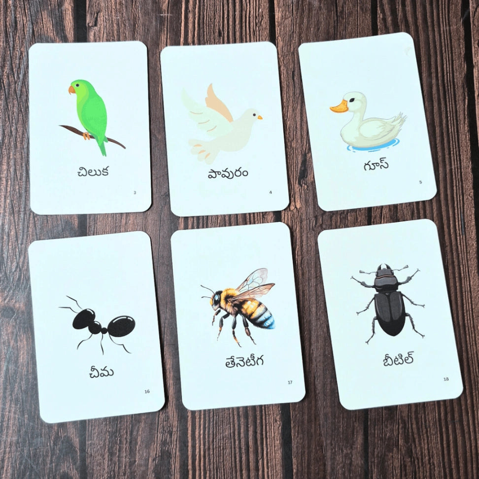 Montessori nature vocabulary learning cards in Telugu