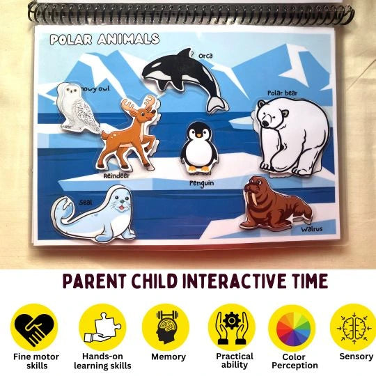 Learn about polar animals for kids