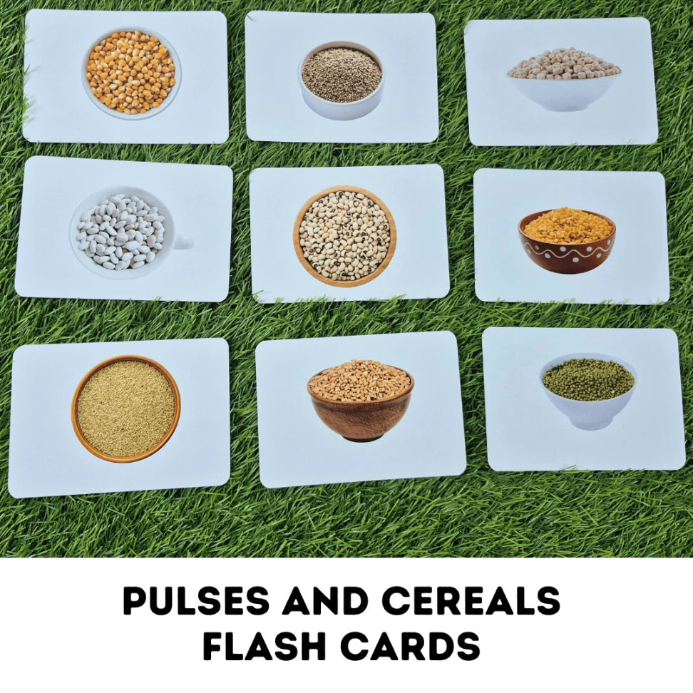 Pulses and Cereals - Right Brain Flash Cards