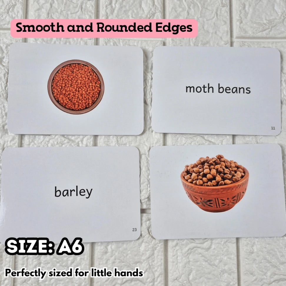 Pulses and Cereals - Right Brain Flash Cards