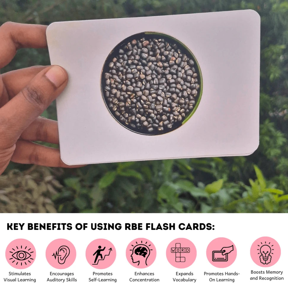 Pulses and Cereals - Right Brain Flash Cards