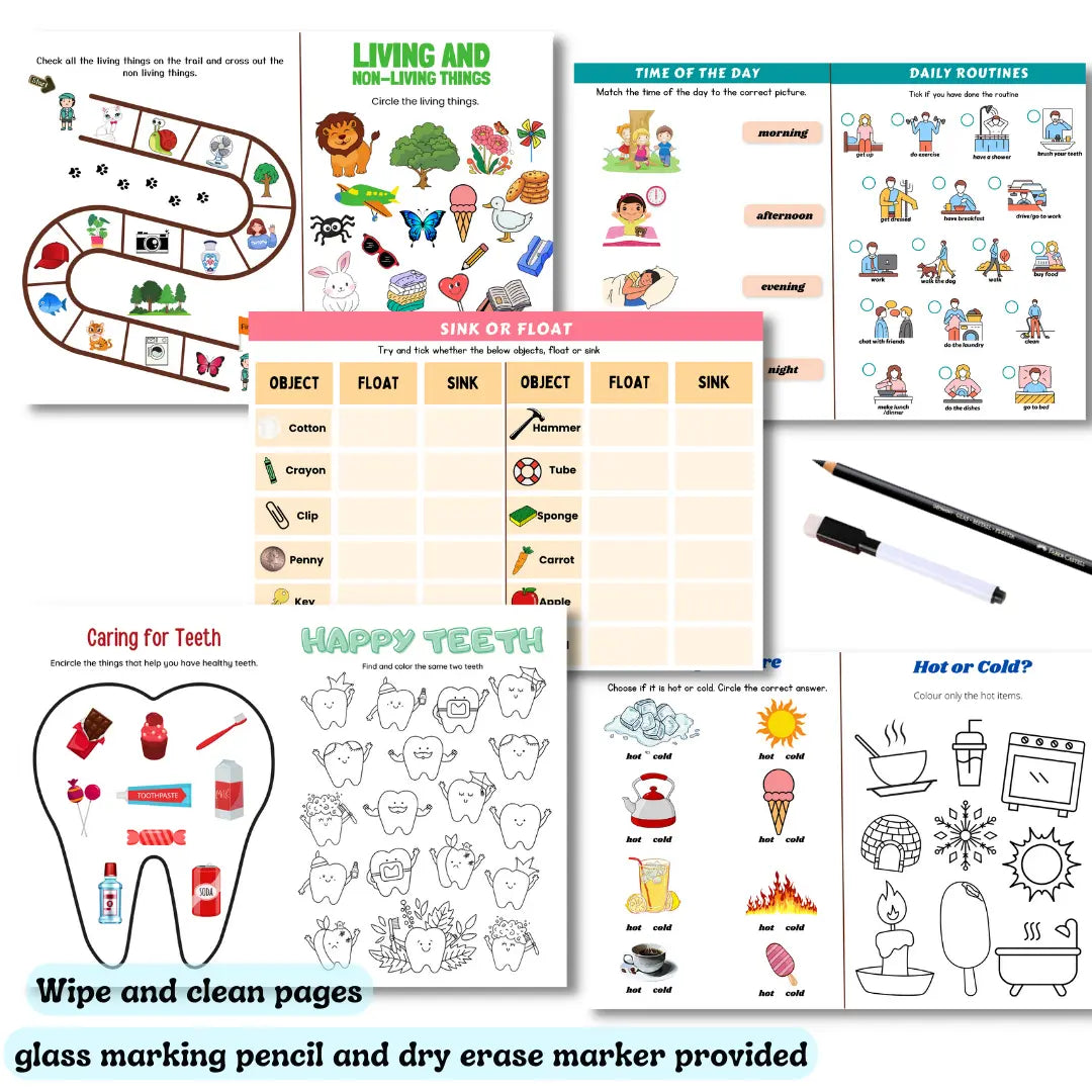 Science concepts sorter for early learners