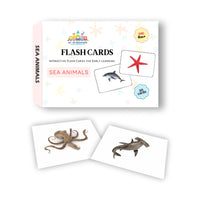 Sea Animals Flash Cards for Kids – Realistic Ocean Animal Learning Cards (A6)