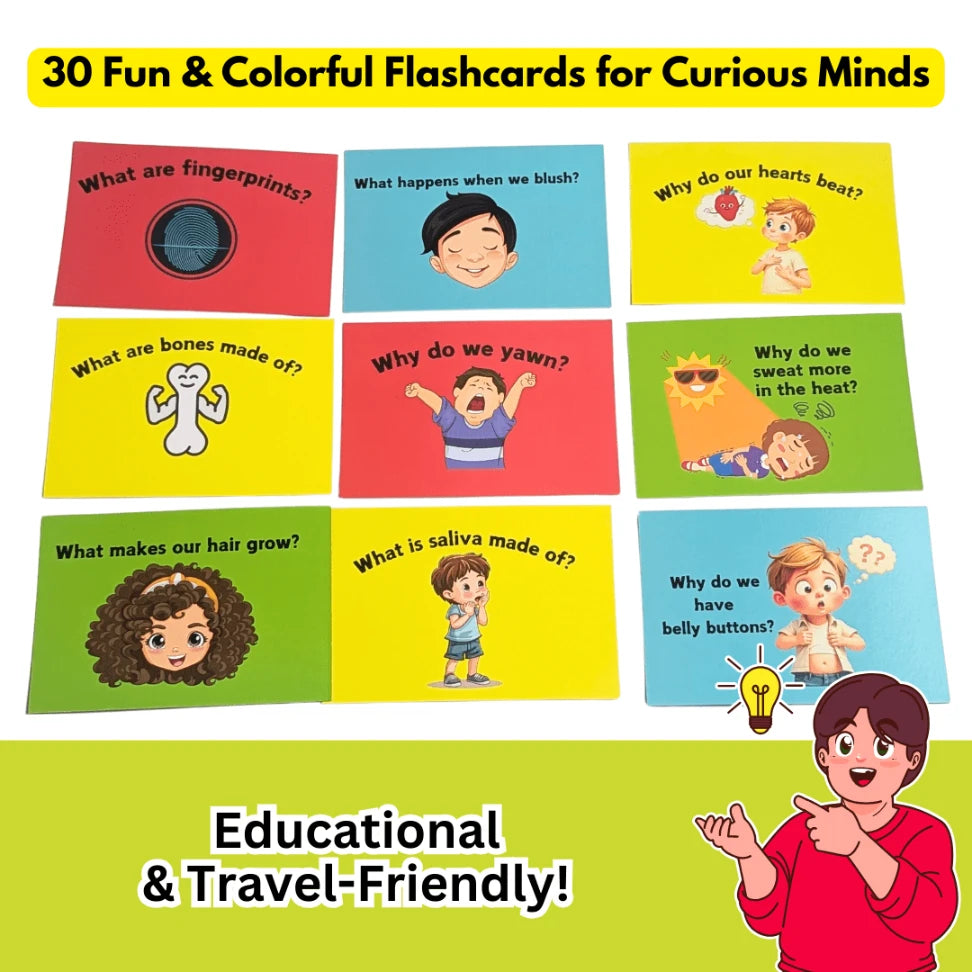 Anatomy cards for kids