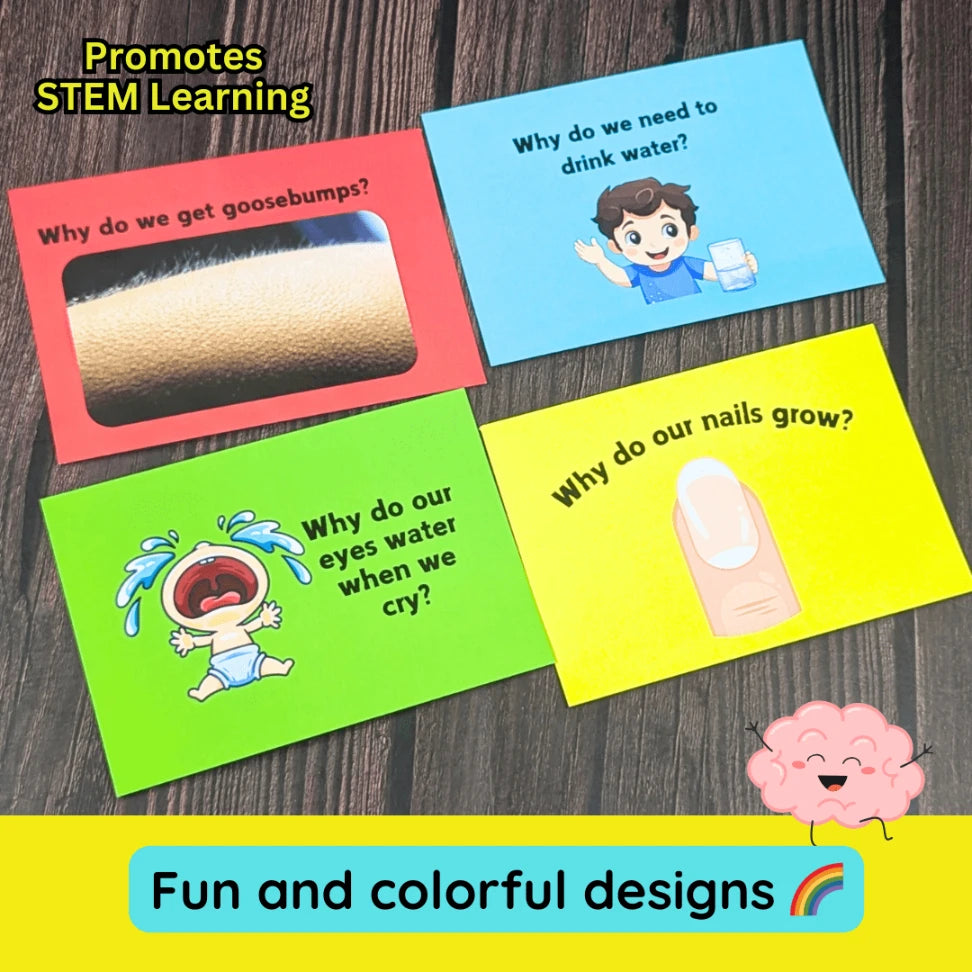 Kids flashcards about the human body