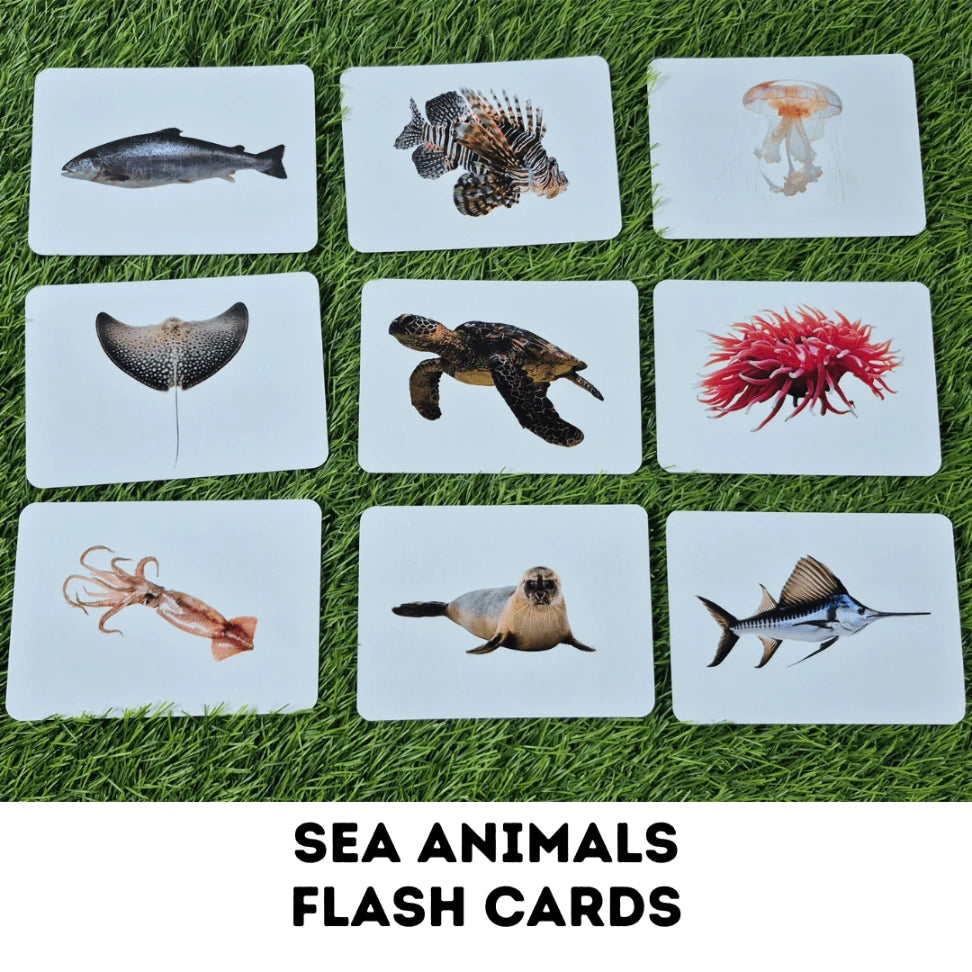 Sea Animals - Right Brain Flash Cards