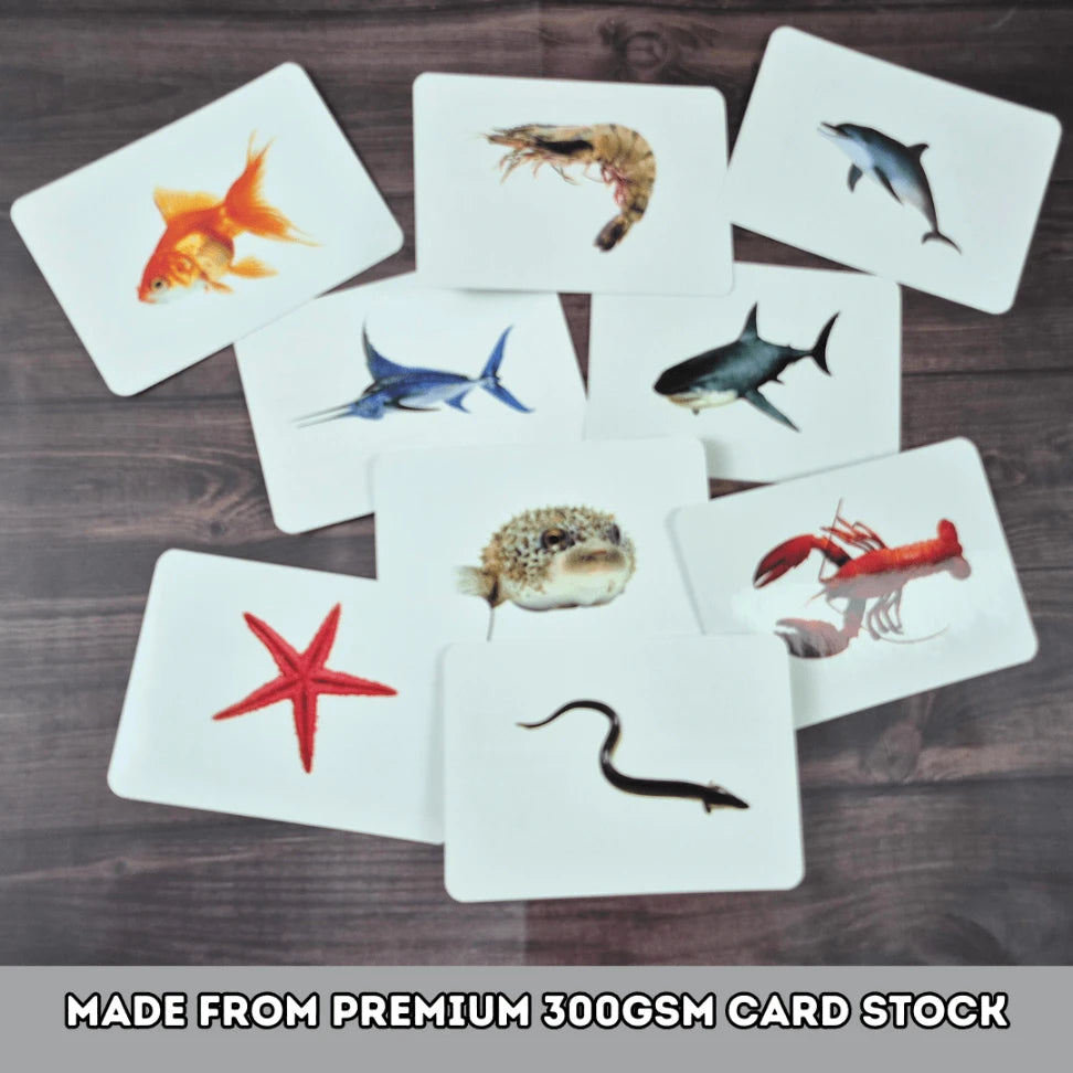 Sea Animals - Right Brain Flash Cards