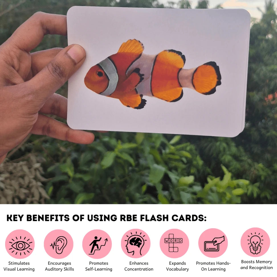 Sea Animals - Right Brain Flash Cards