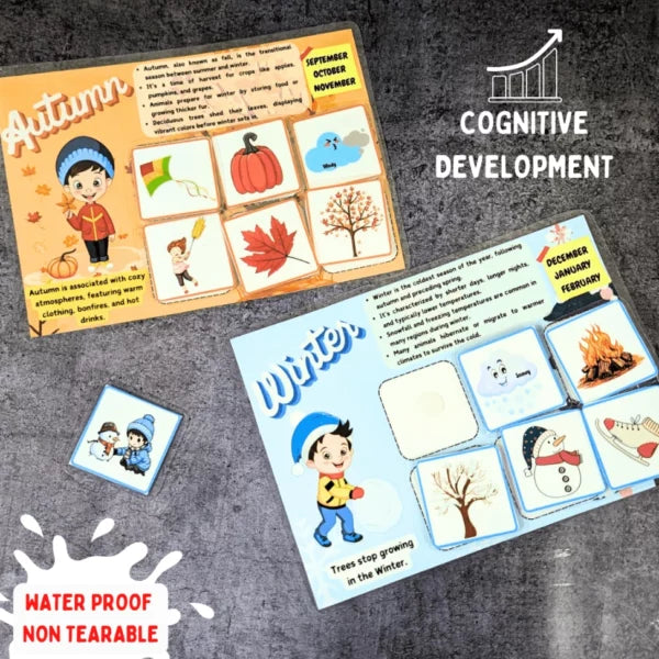 Seasons Sorting Mat