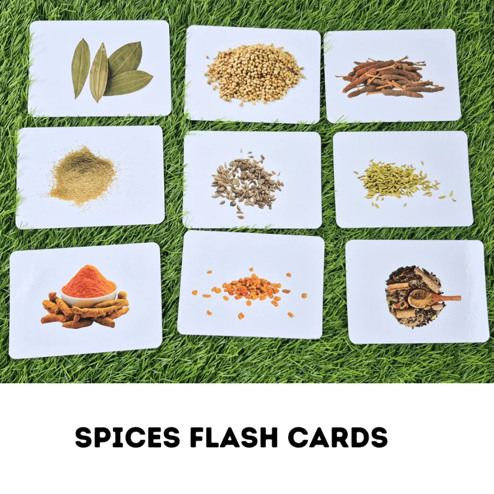 Educational spice flashcards