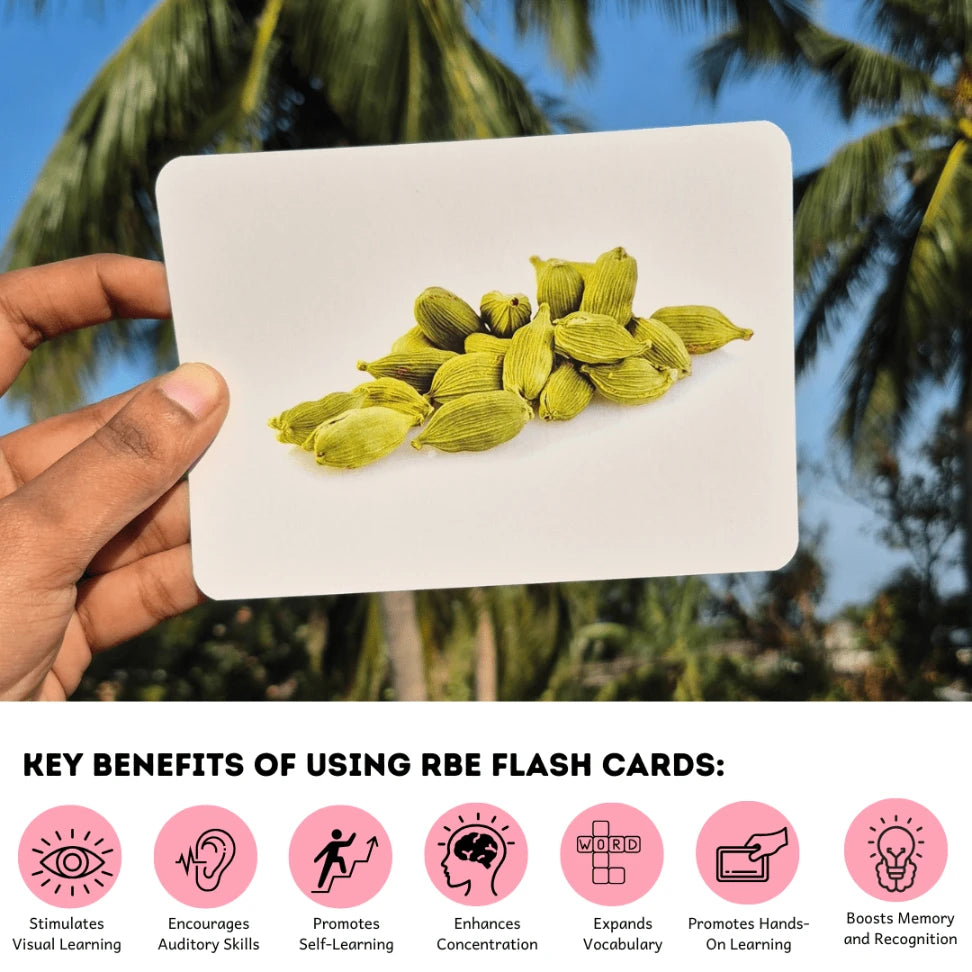 Spice learning flashcards for toddlers