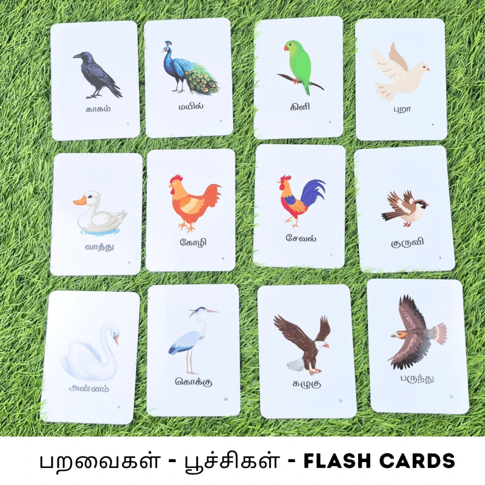 Tamil birds and insects flash cards