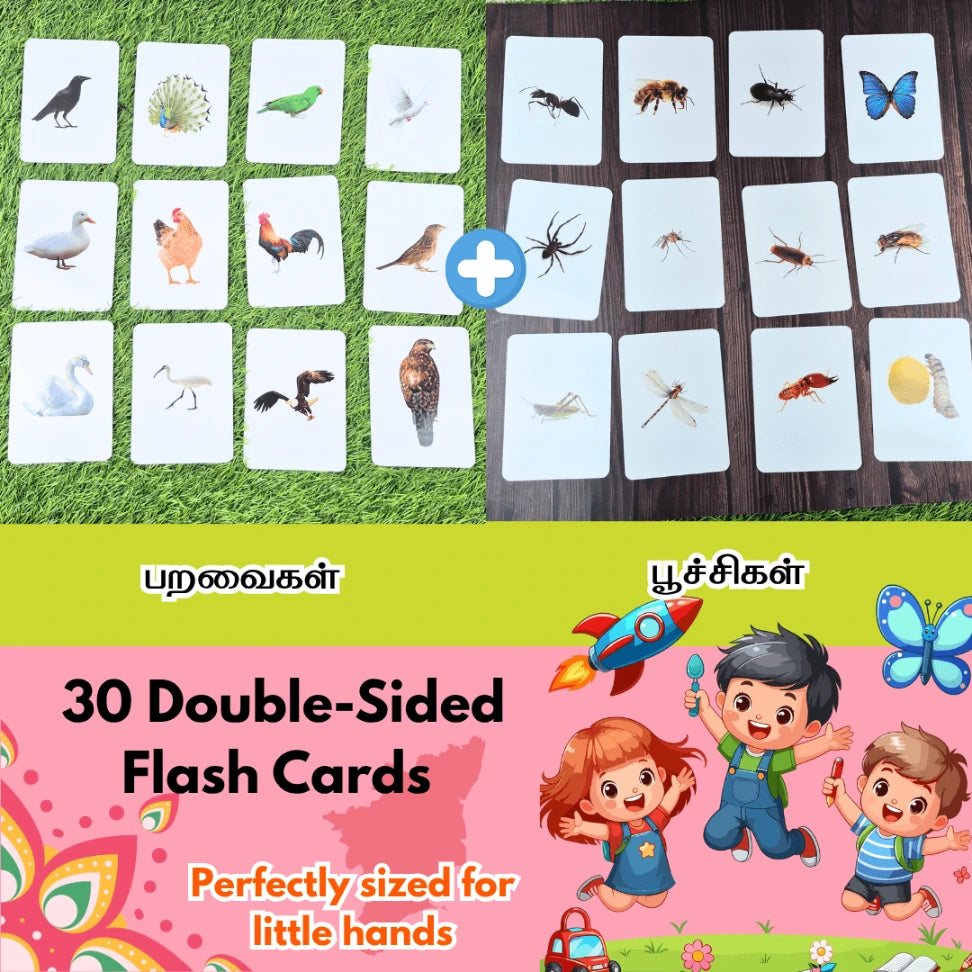 Tamil vocabulary flash cards birds