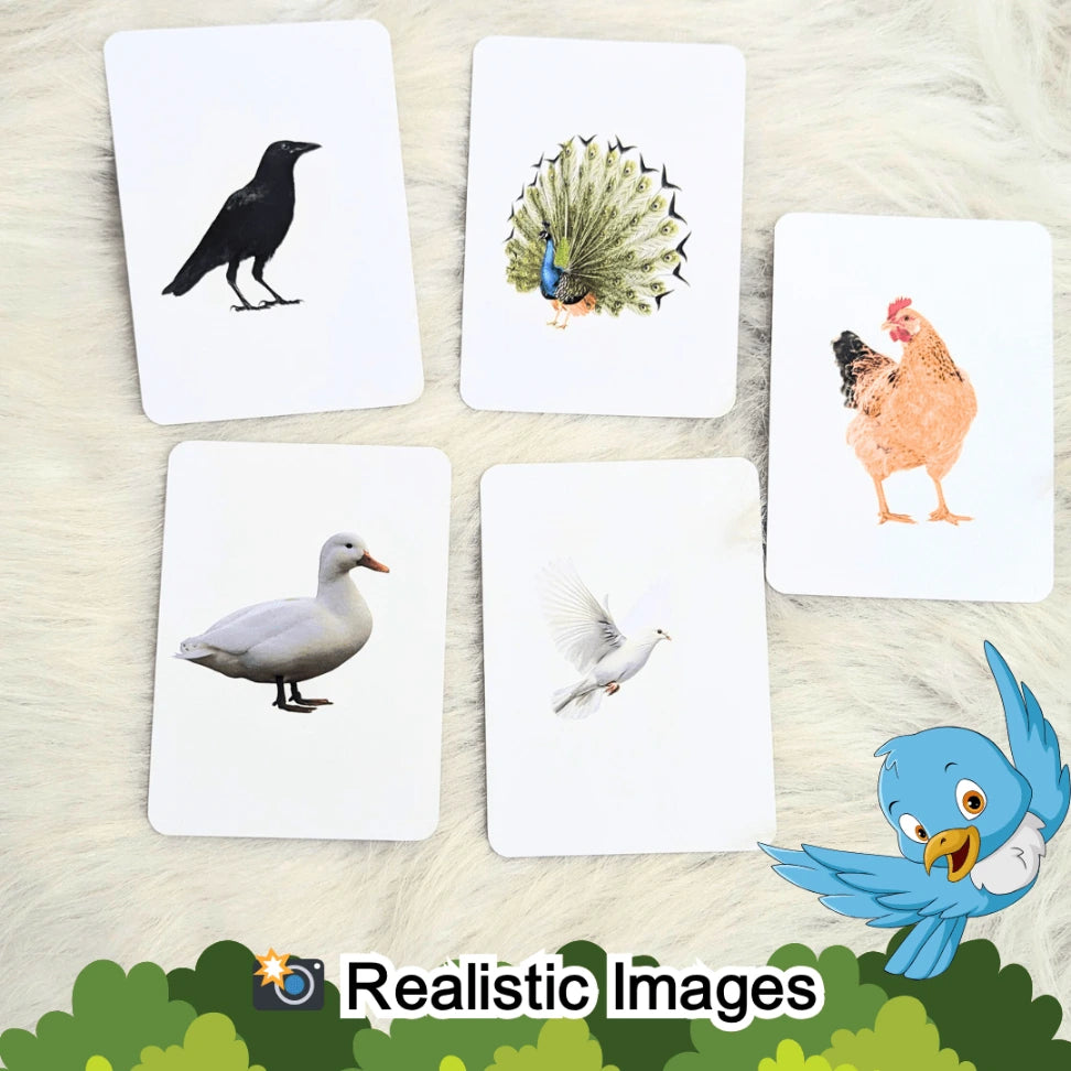 Tamil birds and insects flash cards online India