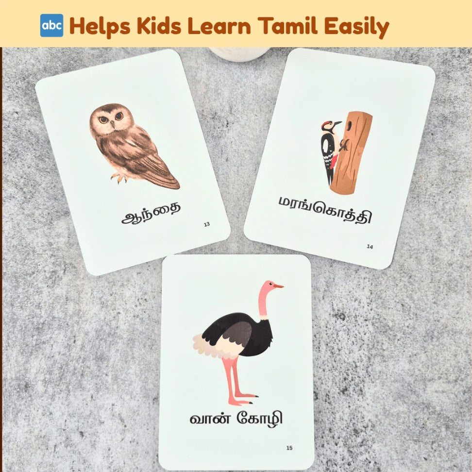 Montessori Tamil nature learning set