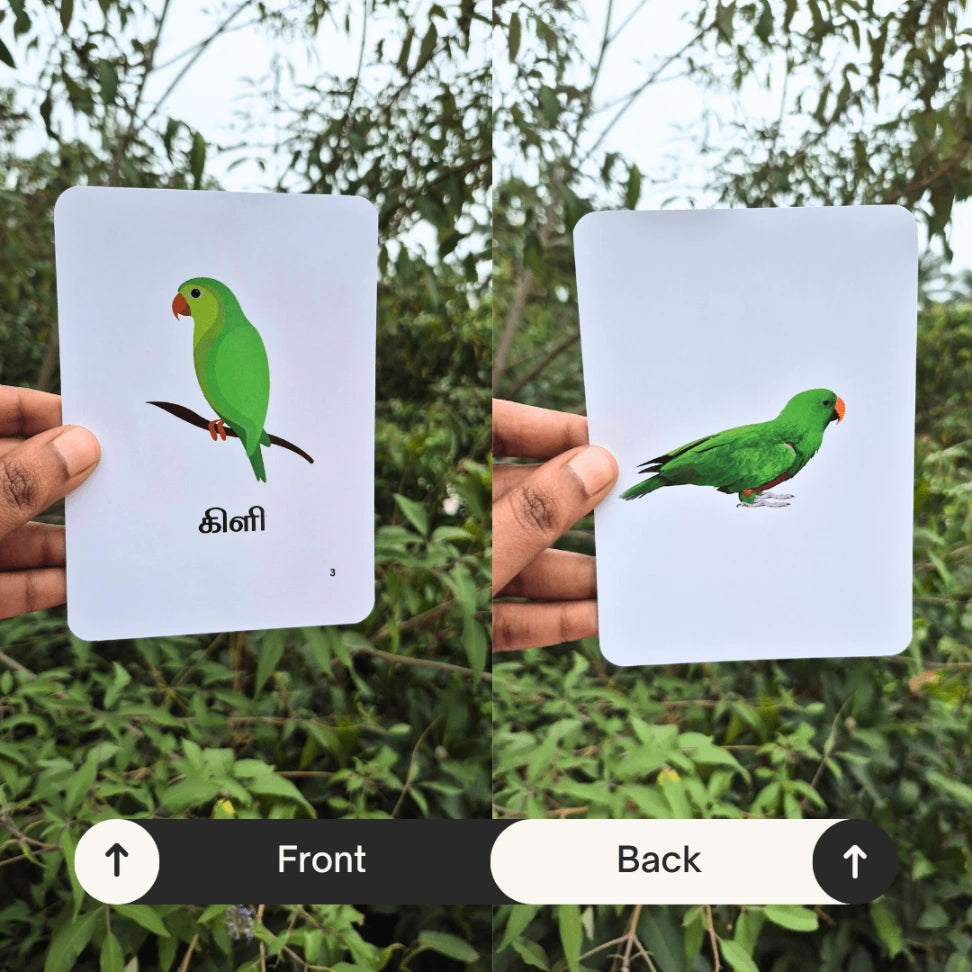 Learn Tamil insect names with flash cards