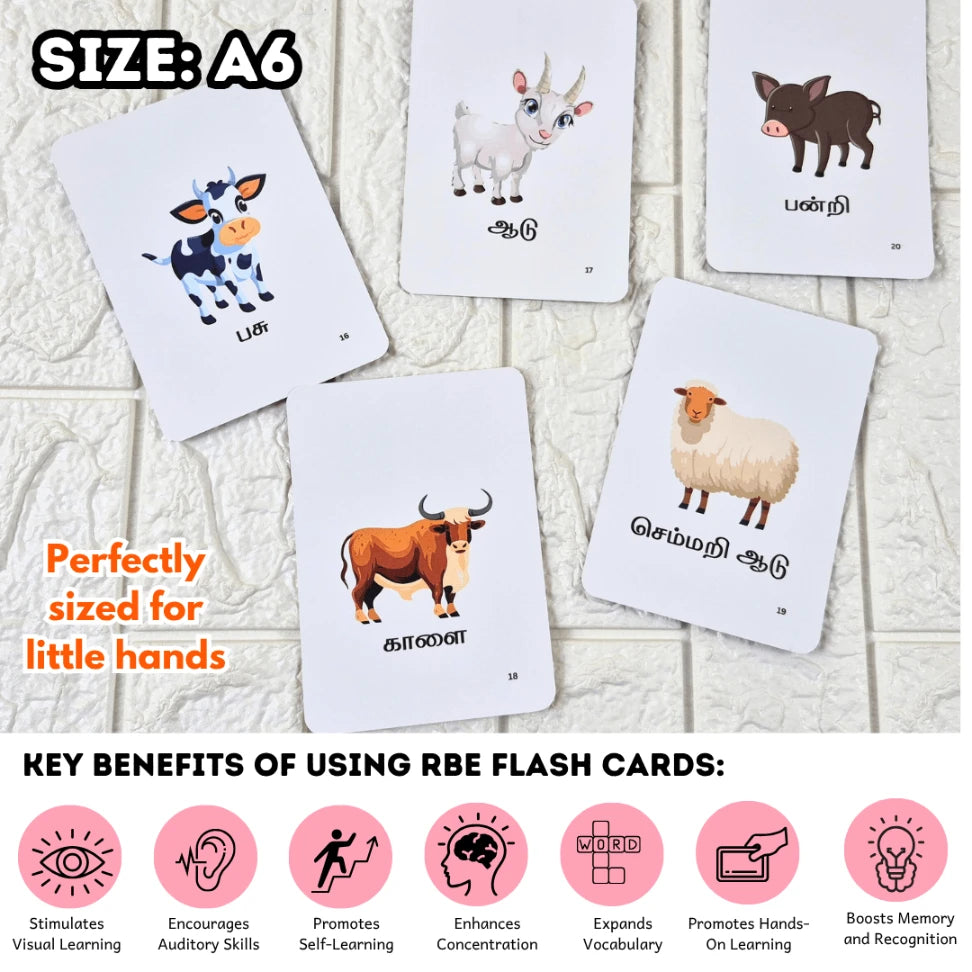 Tamil language educational cards for toddlers