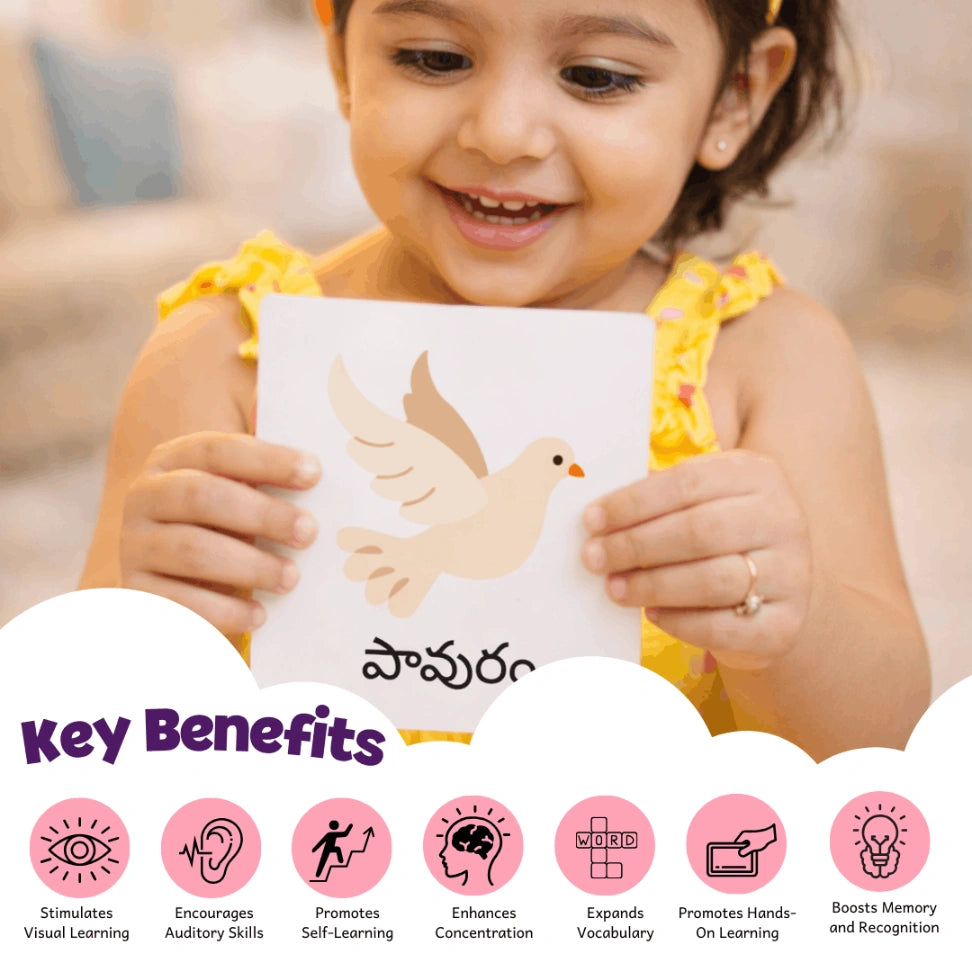 Telugu birds and insects flash cards for 2 to 6 year old kids