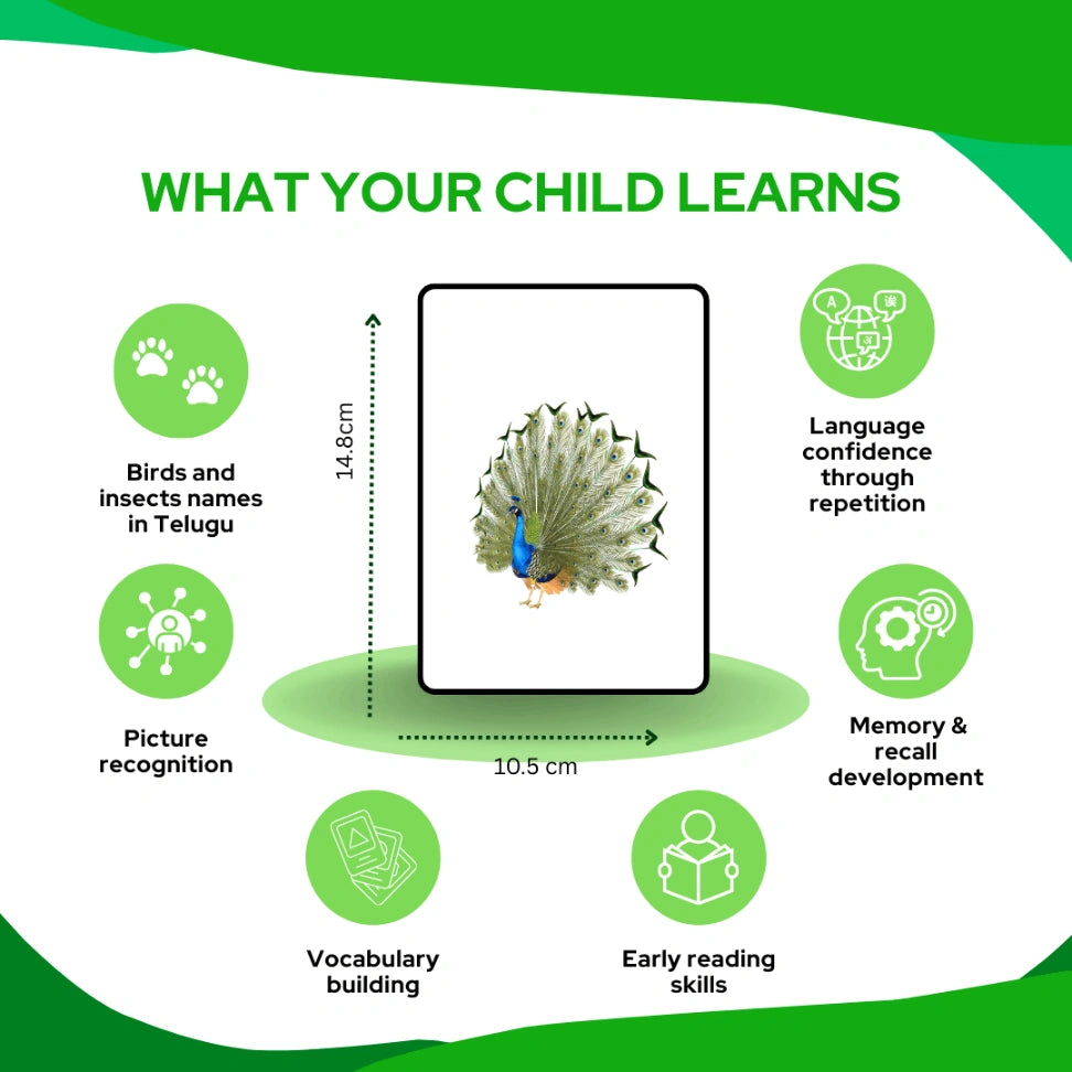 Telugu learning flashcards for toddlers
