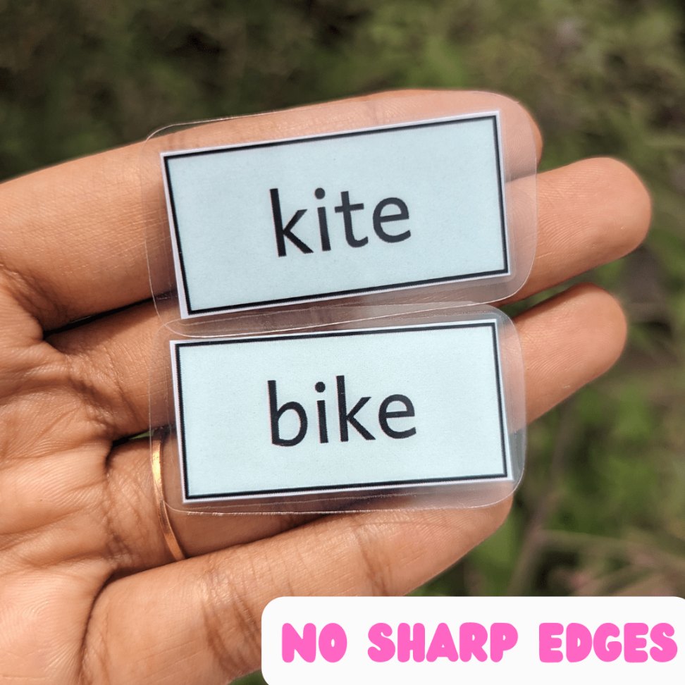 Short and Long Vowels sorter - Phonics