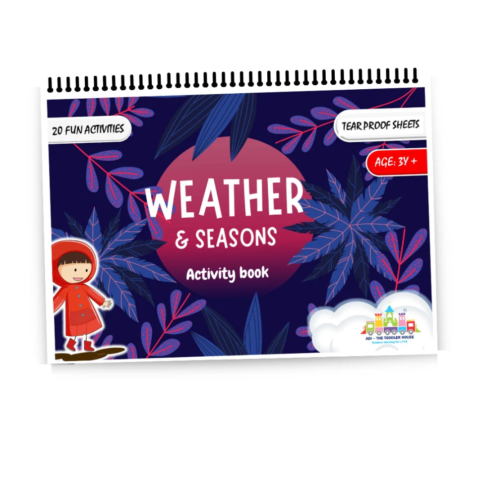 Weathers and seasons busy book