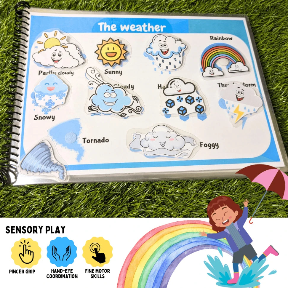 Weathers and seasons busy book