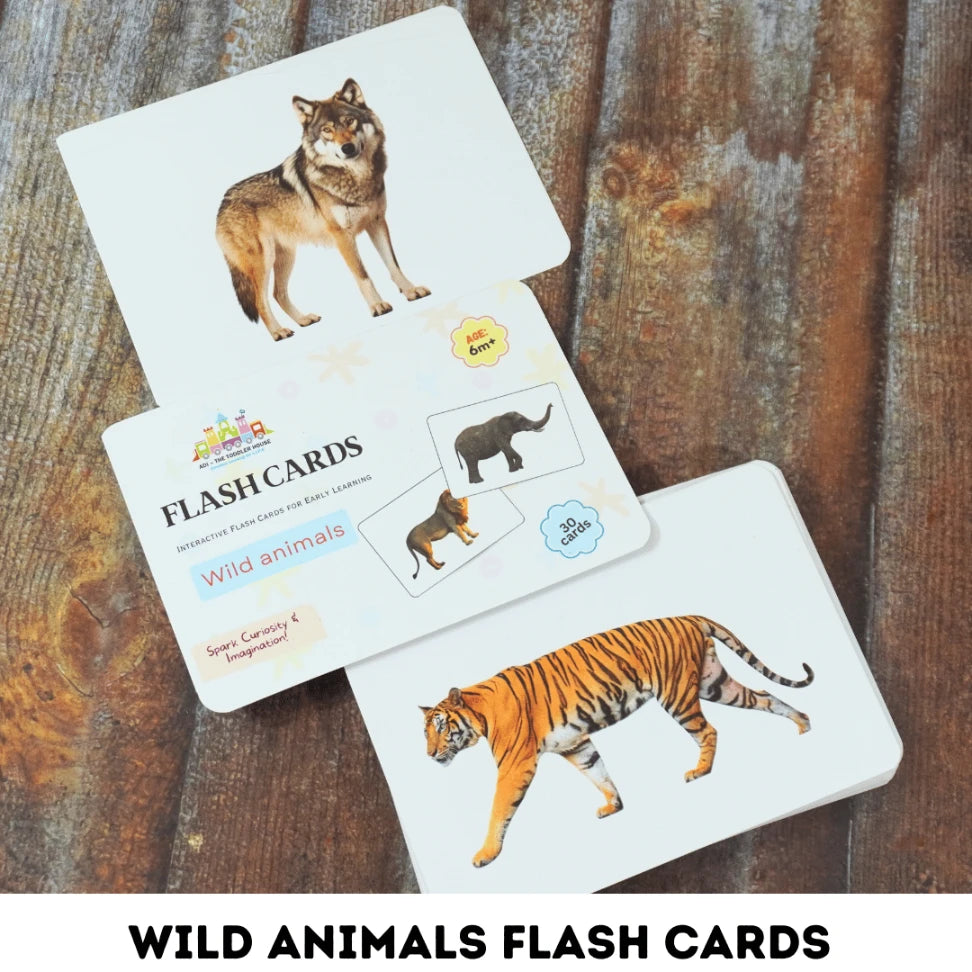 Wild animals flash card